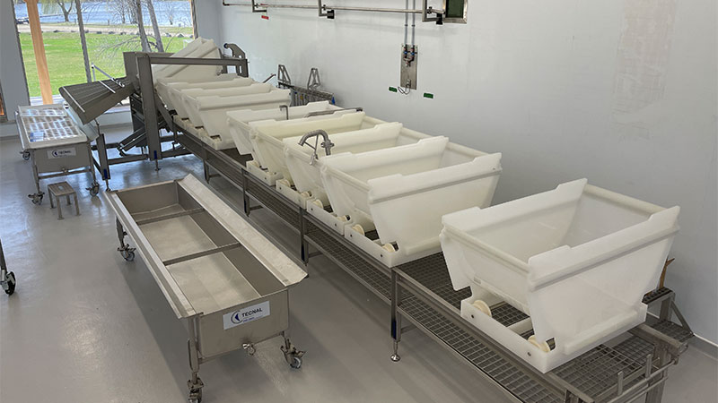 Artisanal-basin-lines